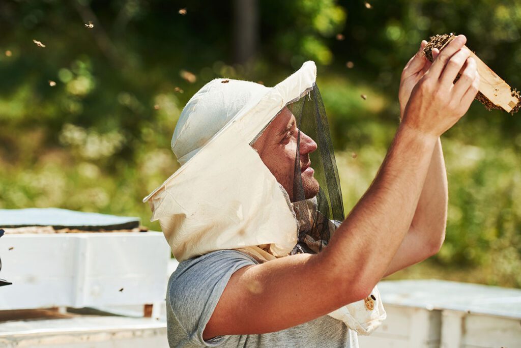 Pszczelarz w gospodarstwie pasiecznym Miody Dalkowskie